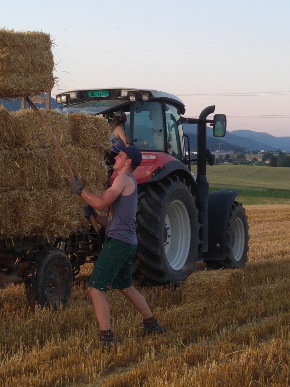 Muskel Aufbau Training